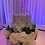 Thumbnail: Centerpieces (Styles can be combined)